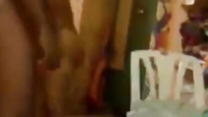 मिठाई बेला और जीना बकवास सींग का बना ब्लू पिक्चर सेक्सी फुल मूवी हुआ बिल्ली के साथ जीभ सड़क पर