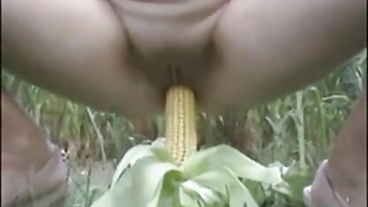 मूर्ख सेक्सी वीडियो फुल मूवी ओपन प्रतिभा